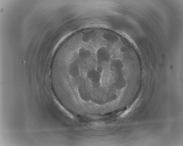 X0000070250799200606232006