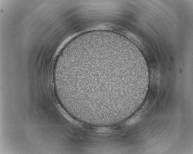 X0000070250800200606232006