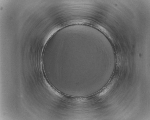 X0000070250802200606232006