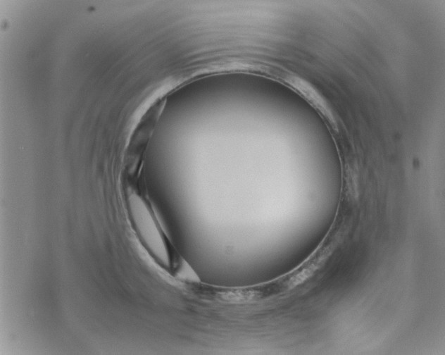 X0000070250805200606232006