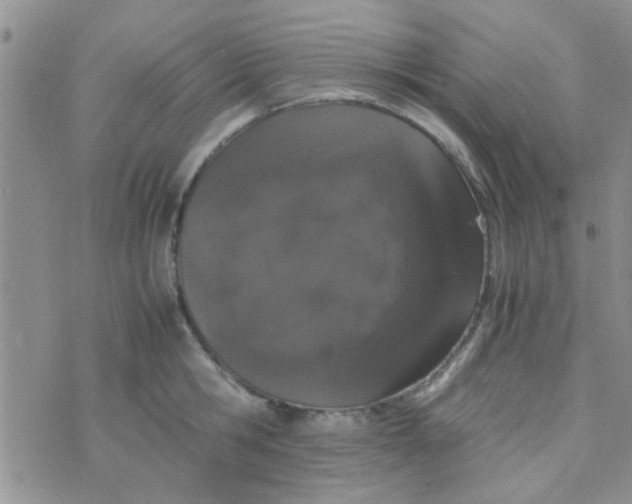 X0000070250806200606232006