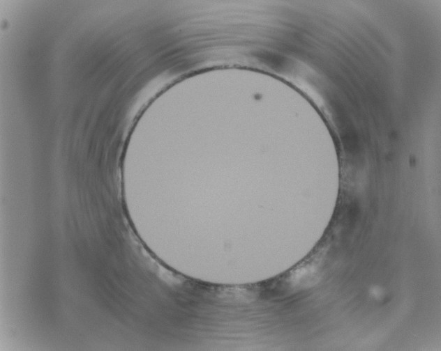 X0000070250807200606232006