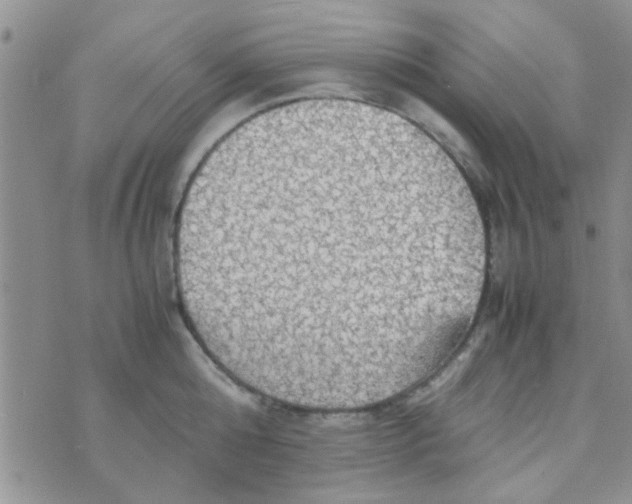 X0000070250808200606232006