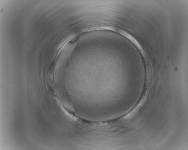 X0000070250809200606232006