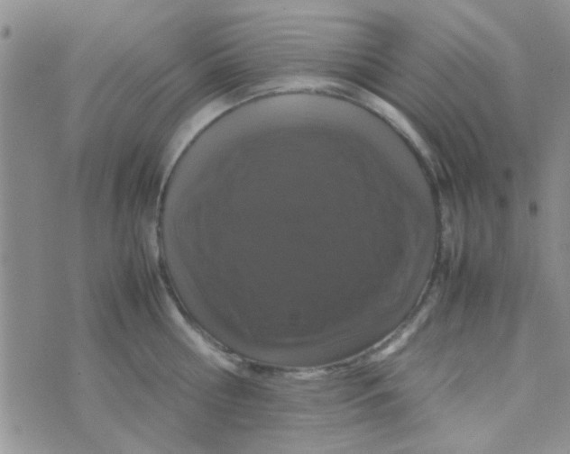 X0000070250810200606232006