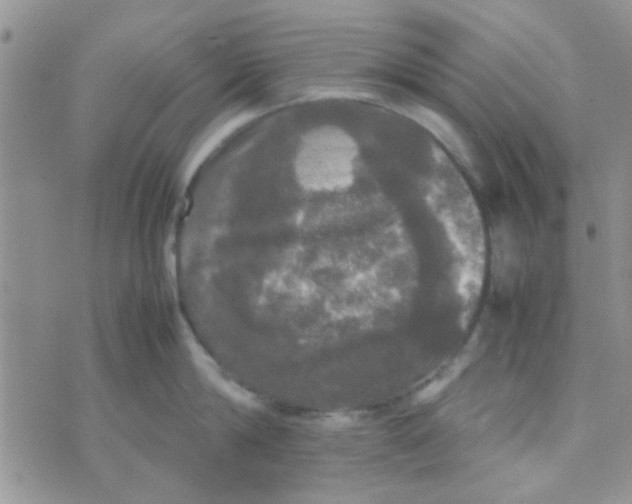 X0000070250814200606232006