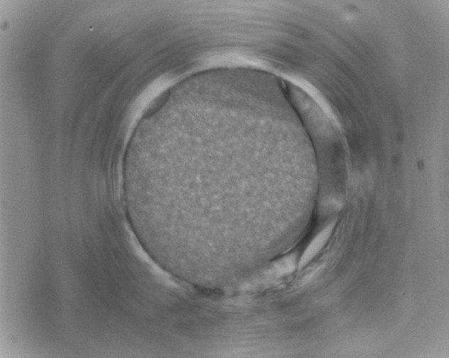 X0000070250815200606232006