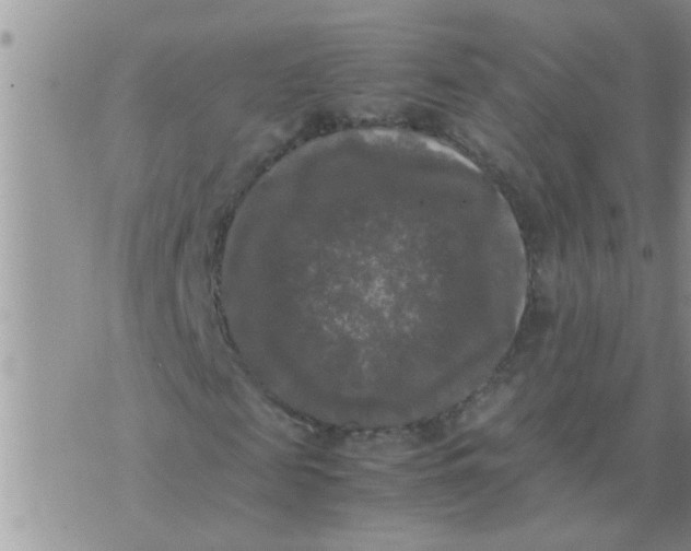 X0000070250817200606232005