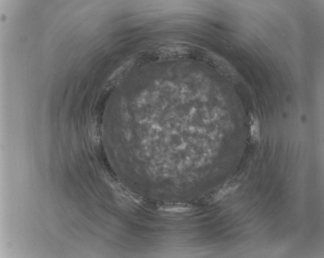 X0000070250819200606232005