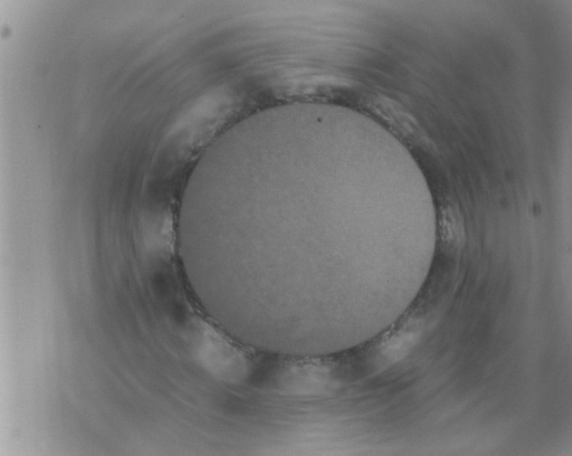 X0000070250820200606232005