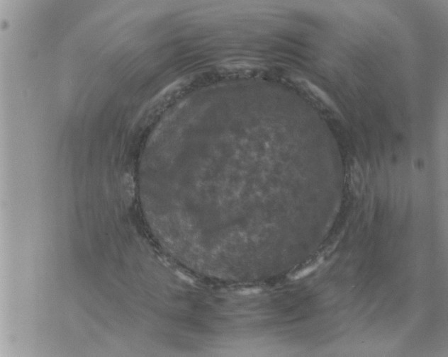 X0000070250821200606232005