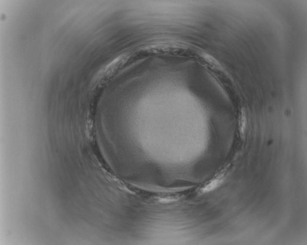 X0000070250822200606232005