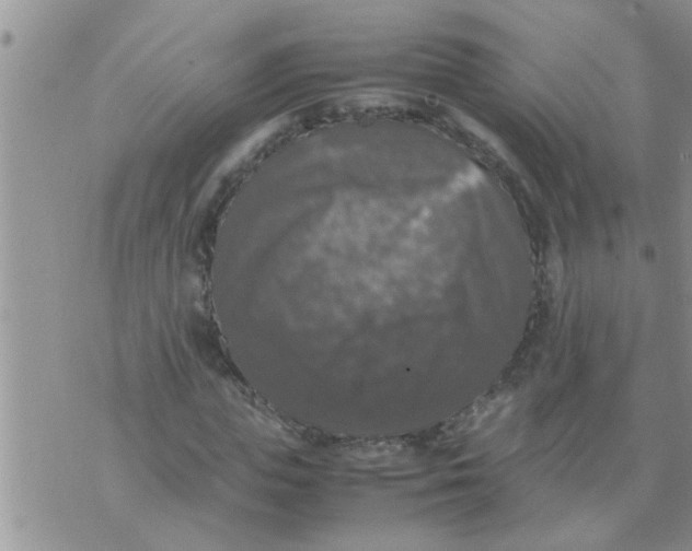 X0000070250823200606232005