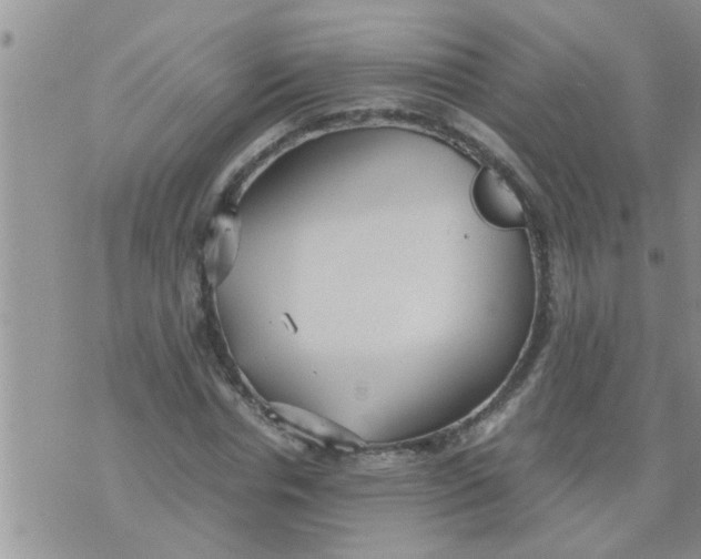 X0000070250826200606232005