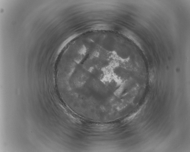 X0000070250829200606232005