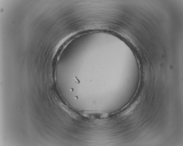 X0000070250830200606232005