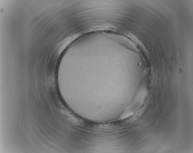 X0000070250834200606232006