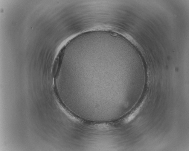 X0000070250838200606232006