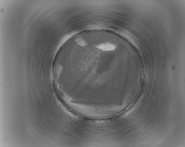 X0000070250839200606232006