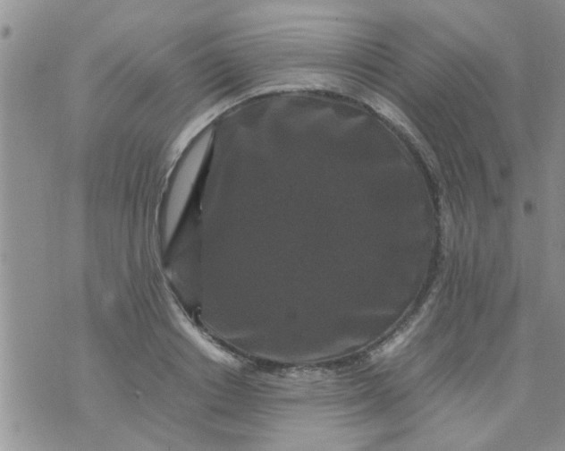 X0000070250842200606232006