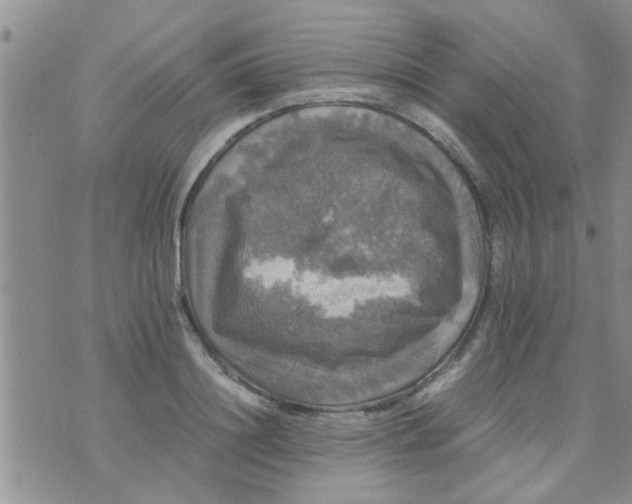 X0000070250844200606232006