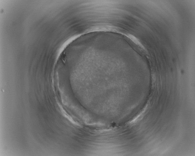 X0000070250846200606232006