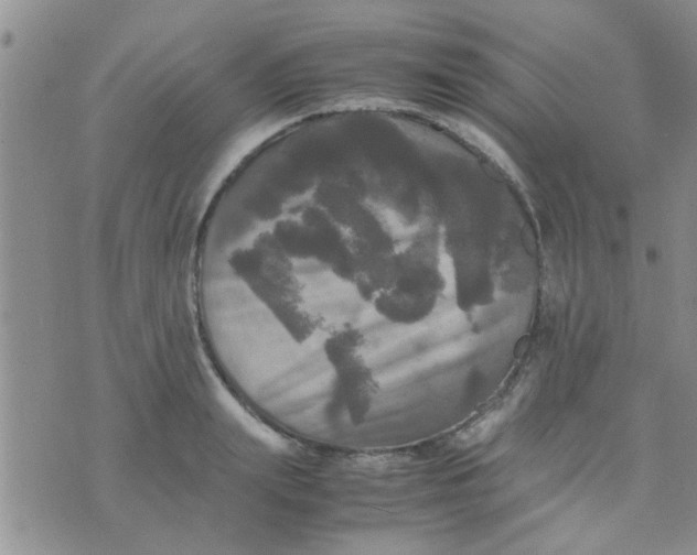 X0000070250847200606232006