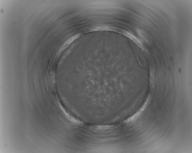 X0000070250849200606232006