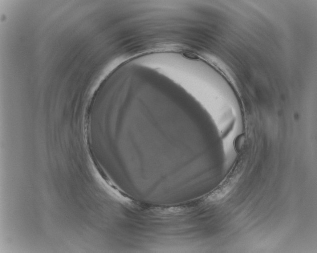 X0000070250851200606232006