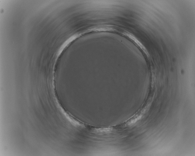 X0000070250853200606232006