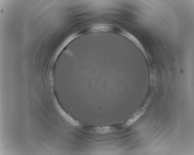 X0000070250859200606232006