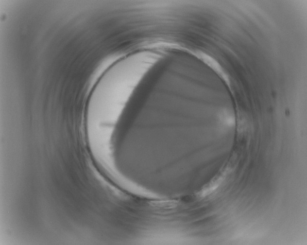 X0000070250863200606232006