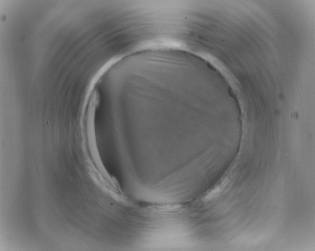 X0000070250864200606232006