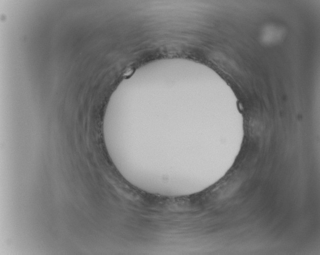 X0000070250865200606232005