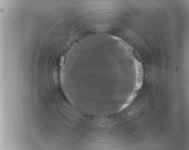 X0000070250866200606232005