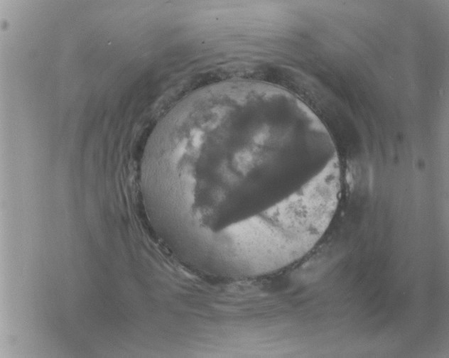 X0000070250867200606232005