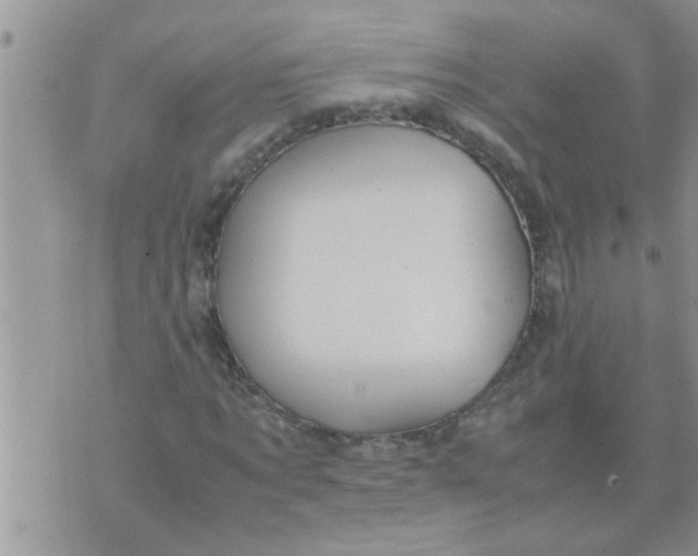 X0000070250869200606232005