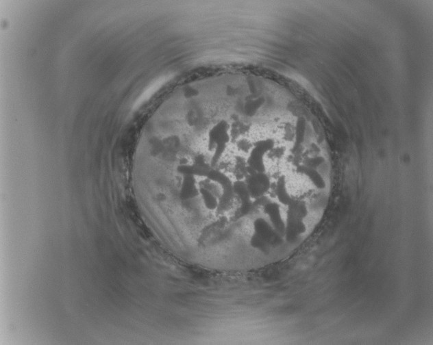 X0000070250871200606232005