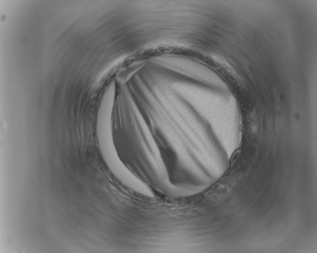 X0000070250872200606232005