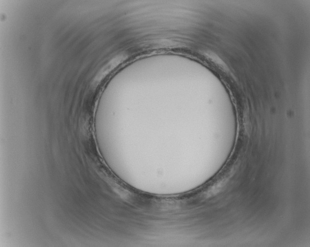 X0000070250873200606232005