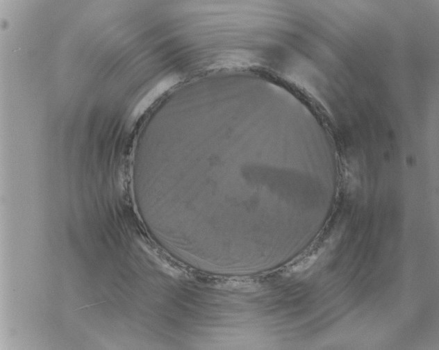 X0000070250874200606232005