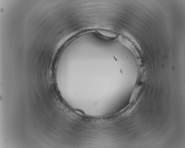 X0000070250876200606232005