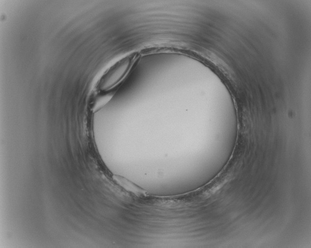 X0000070250880200606232005