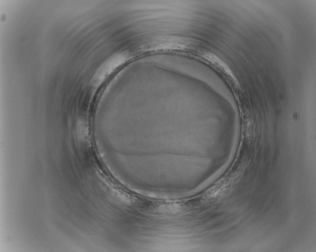 X0000070250882200606232005