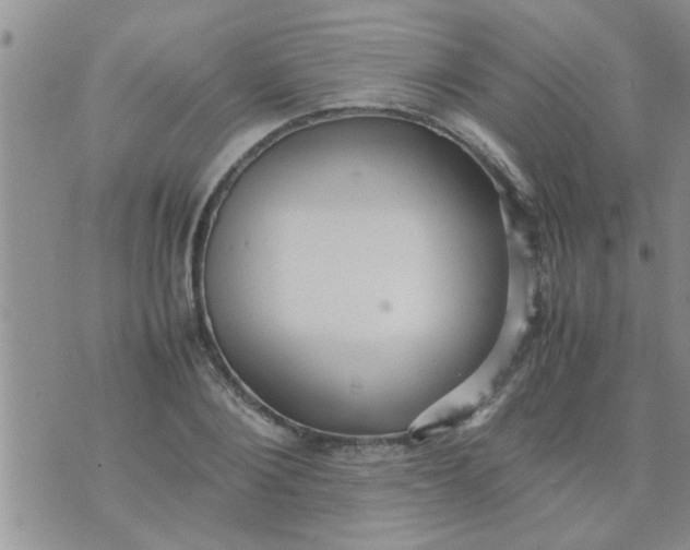 X0000070250884200606232005