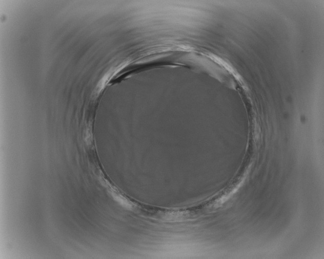 X0000070250889200606232005