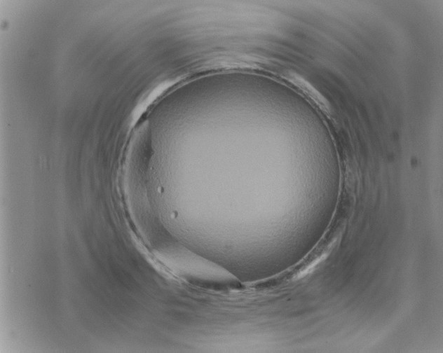 X0000070250893200606232005