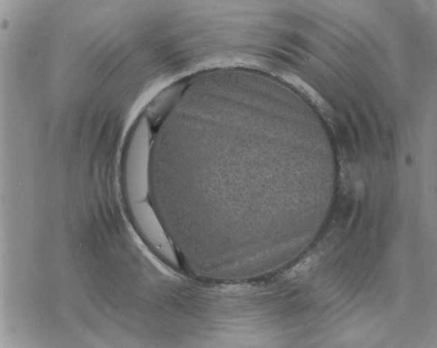 X0000070250894200606232005