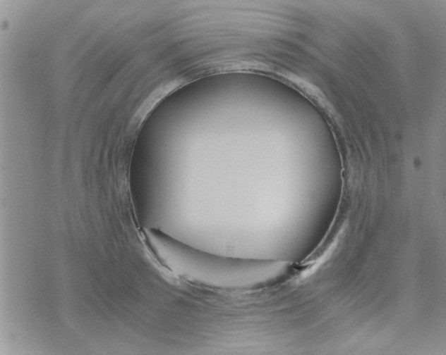 X0000070250897200606232005