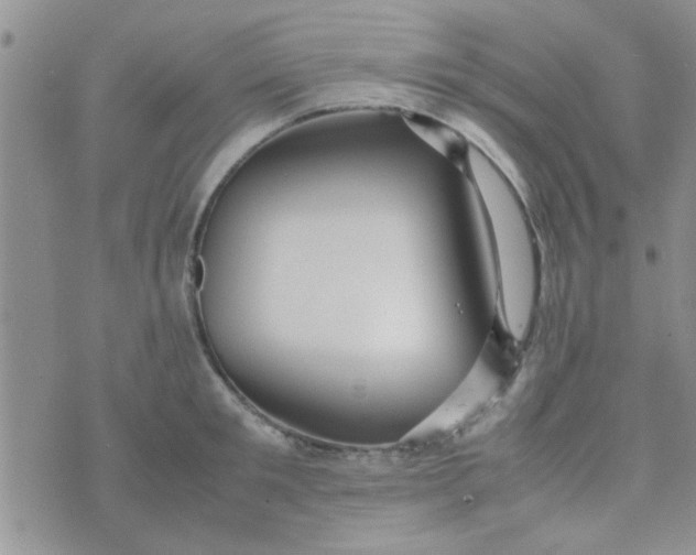 X0000070250901200606232005